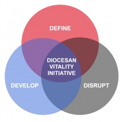 Diocesan Vitality Initiative