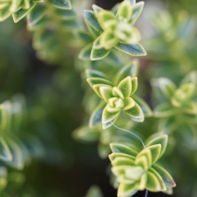 Finance Resource Guide