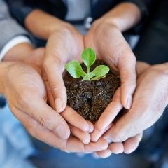 Application and Program Guide