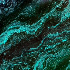 Episcopal Pulse Survey